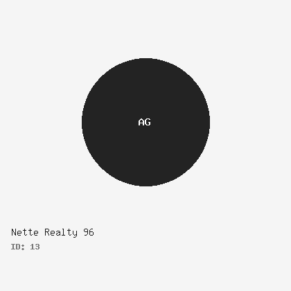Nette Realty 96