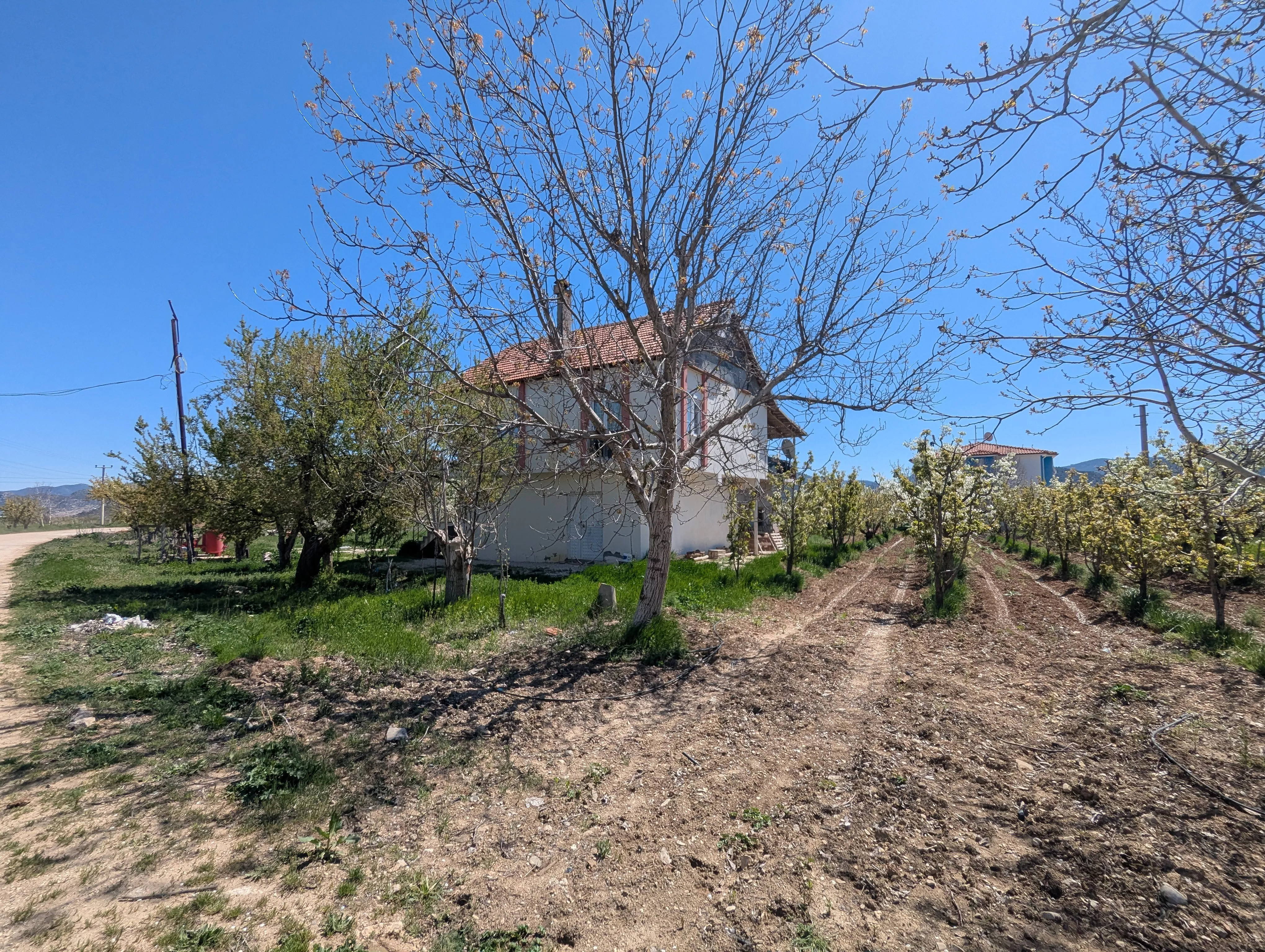 Сельскохозяйственная земля в Коркутели Анталия  на продажу