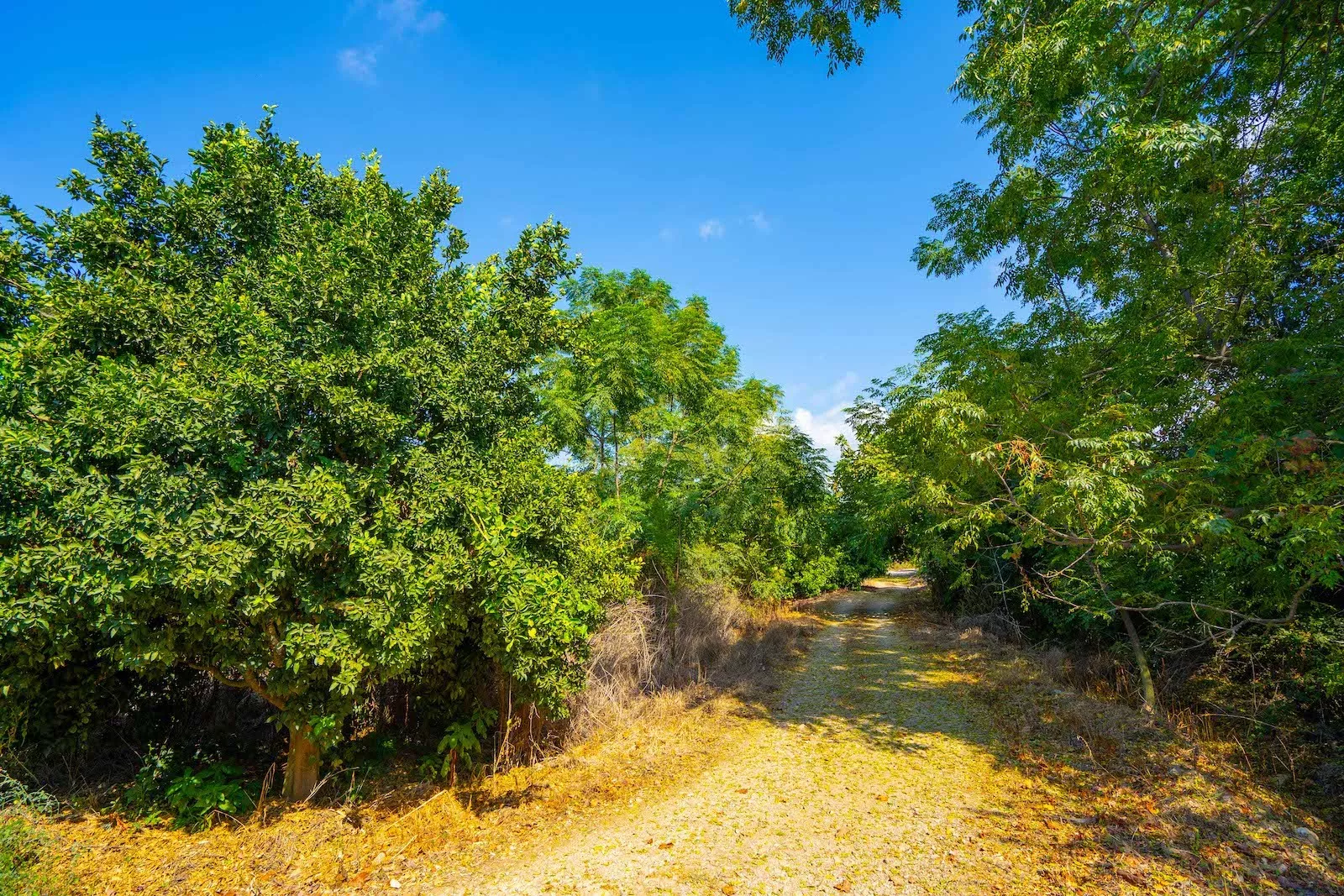 Prime Residential Land for Sale in Demirtas Alanya