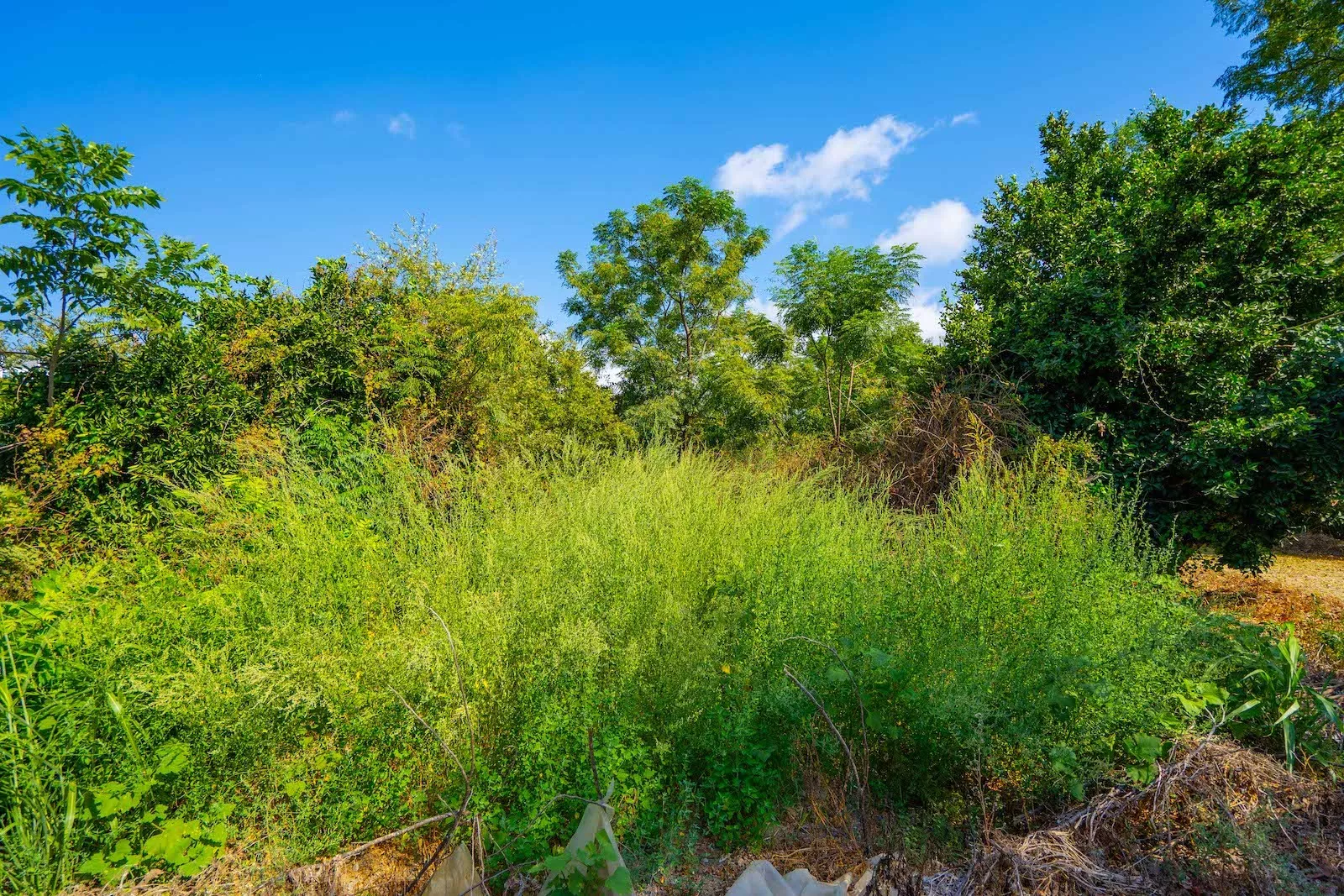 Prime Residential Land for Sale in Demirtas Alanya