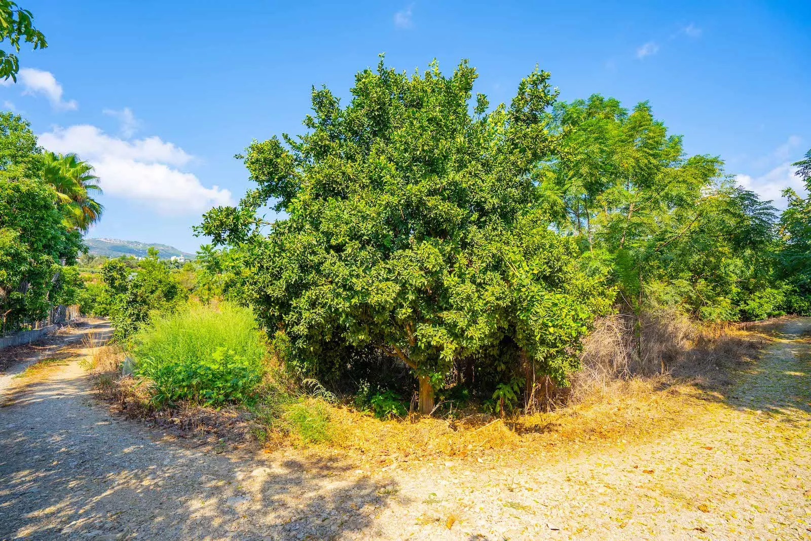 Prime Residential Land for Sale in Demirtas Alanya