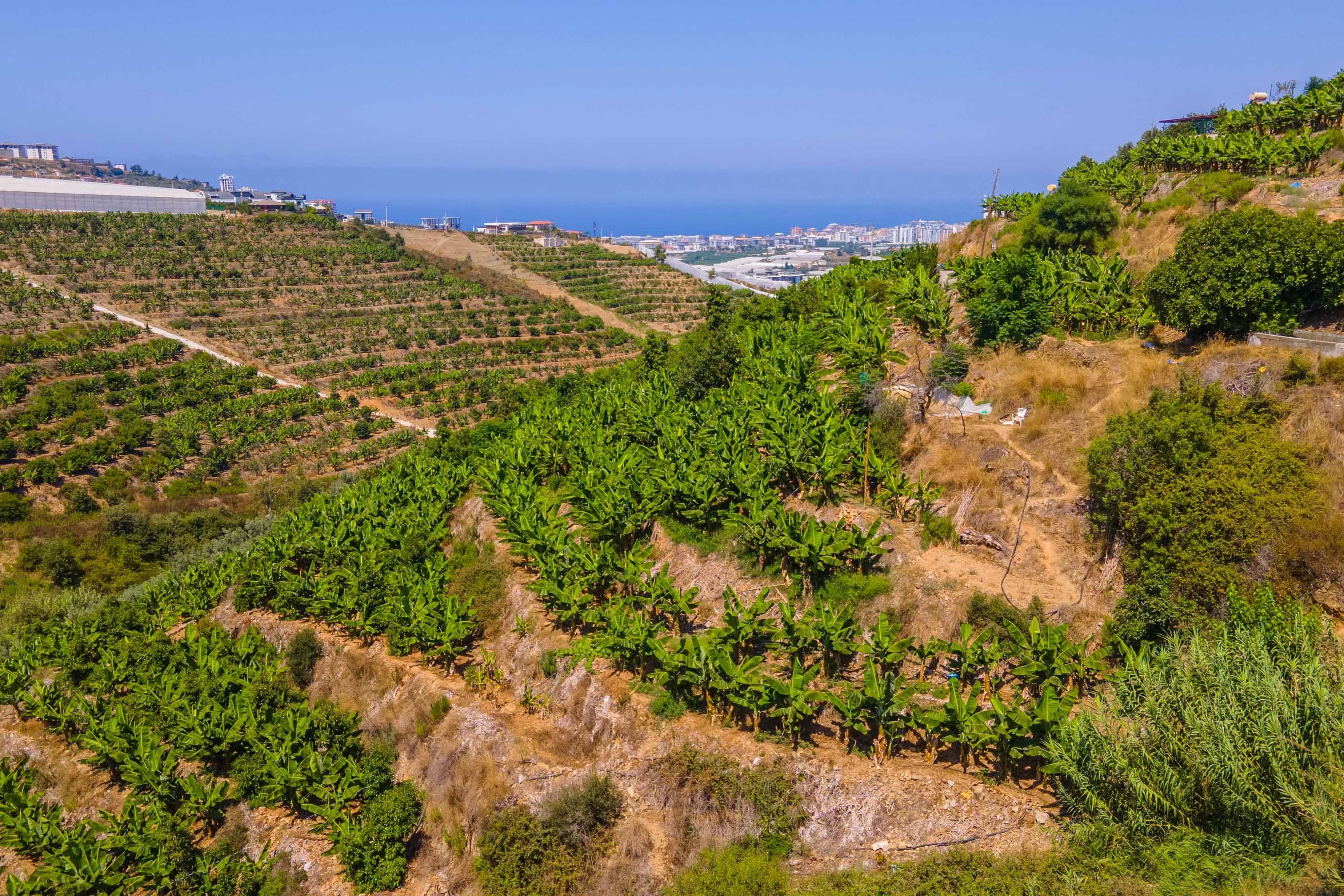 Alanya, Kargıcak’ta Villa İmarlı Satılık Arsa