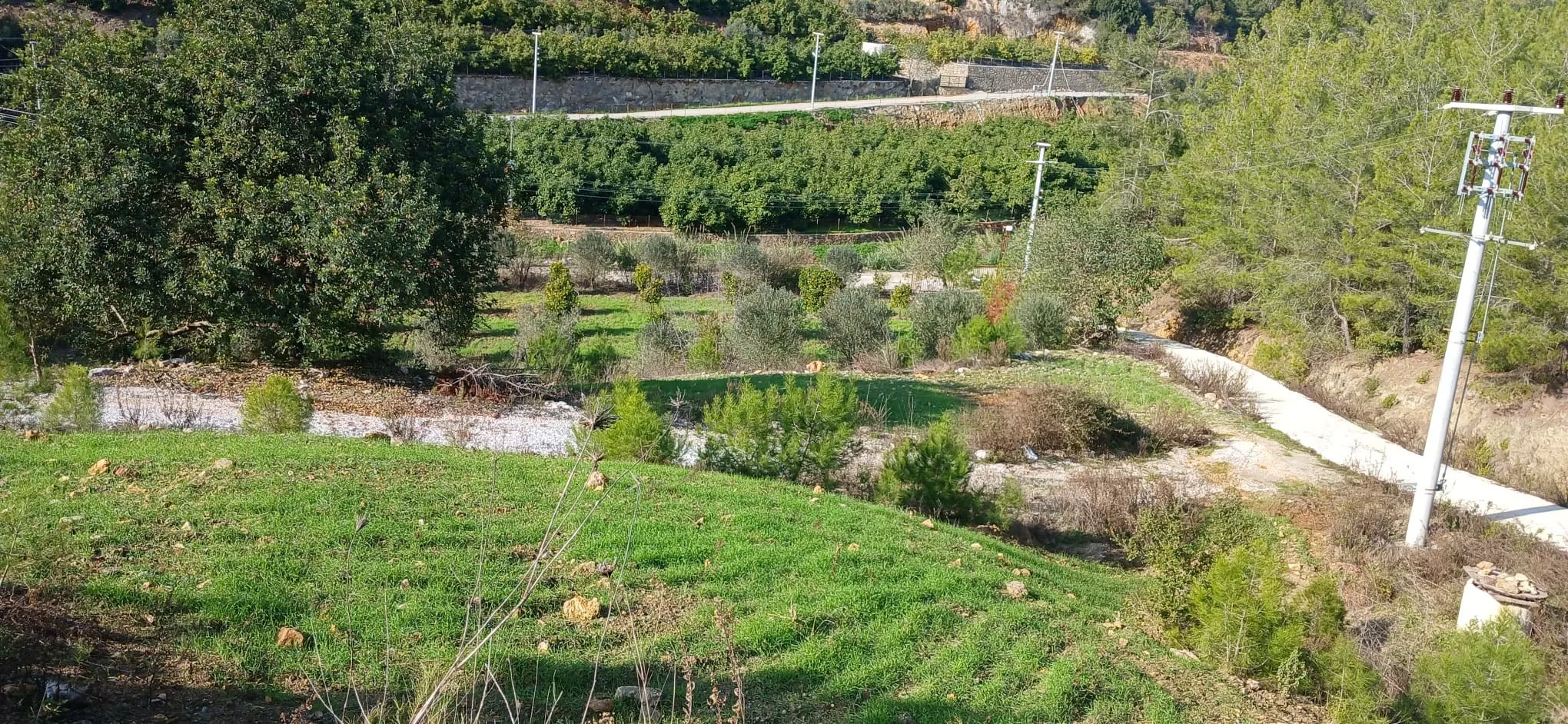 Продается земельный участок площадью 9000 м² Алания Газипаша