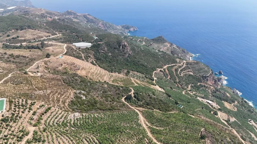 Deniz Manzaralı Satılık 3 dönüm Arsa Gazipaşa Muzkent