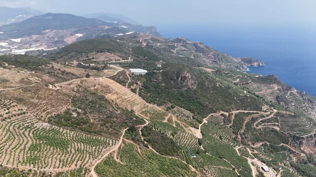 Deniz Manzaralı Satılık 3 dönüm Arsa Gazipaşa Muzkent