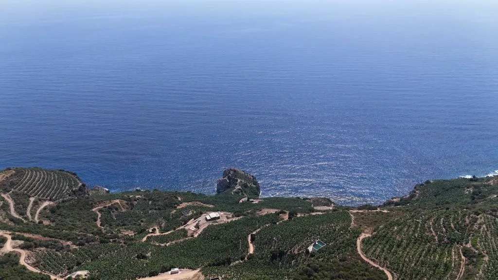 Deniz Manzaralı Satılık 3 dönüm Arsa Gazipaşa Muzkent