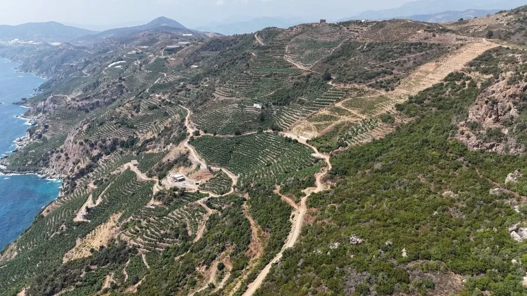 Deniz Manzaralı Satılık 3 dönüm Arsa Gazipaşa Muzkent