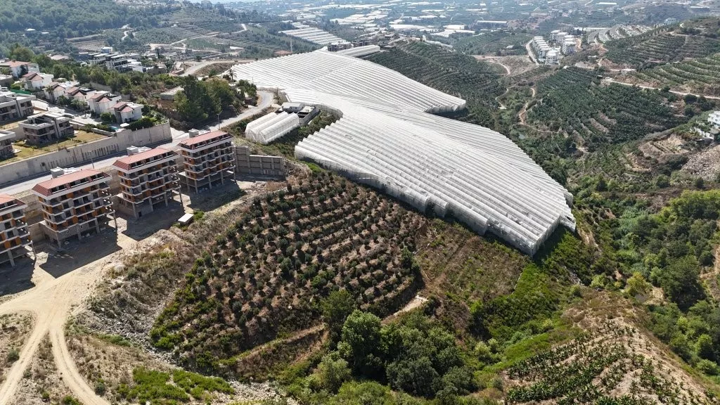 Deniz Manzaralı Düşük Bütçeli İmarlı Arsa  Kargıcak - Alanya