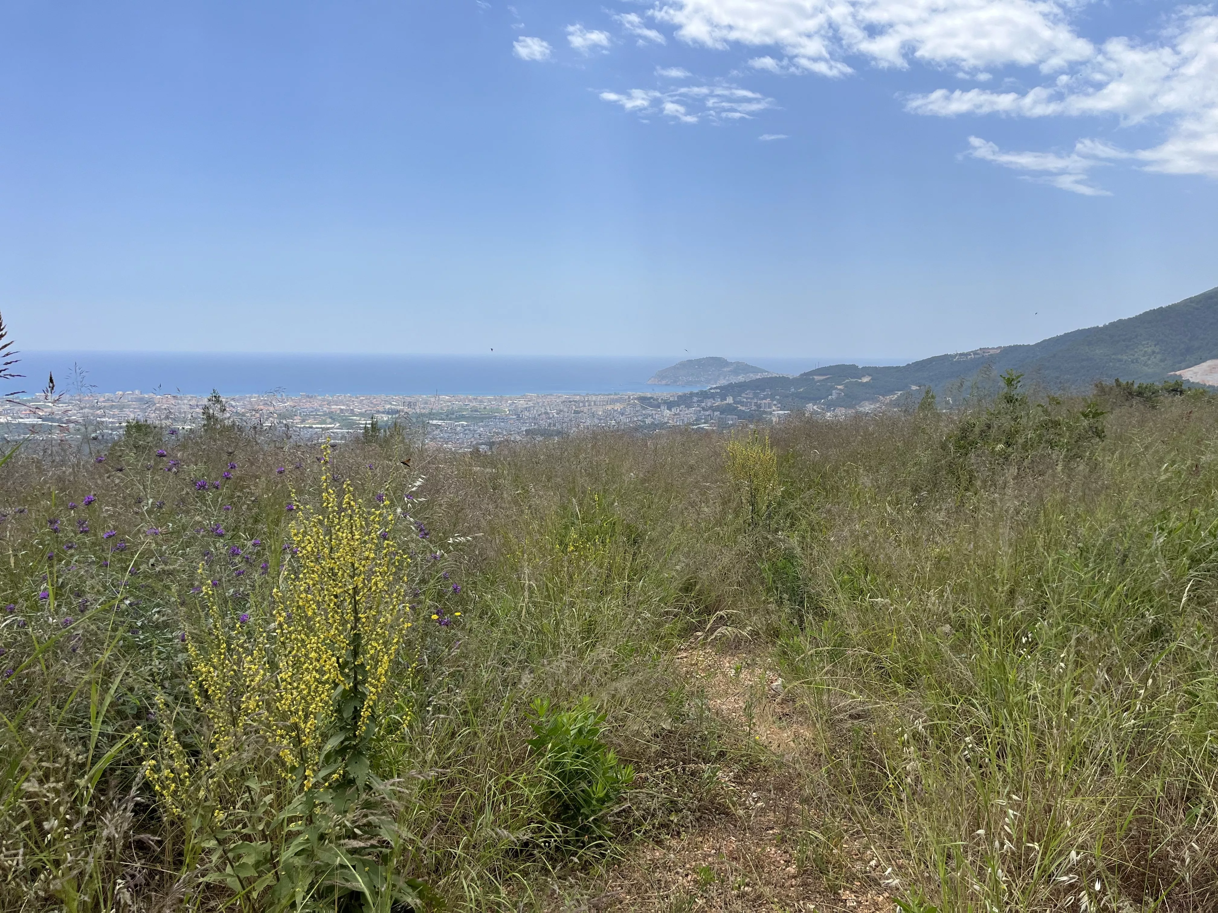 Alanya Kızılcaşehir Köyünde  Muhteşem Konumda Satılık Arazi