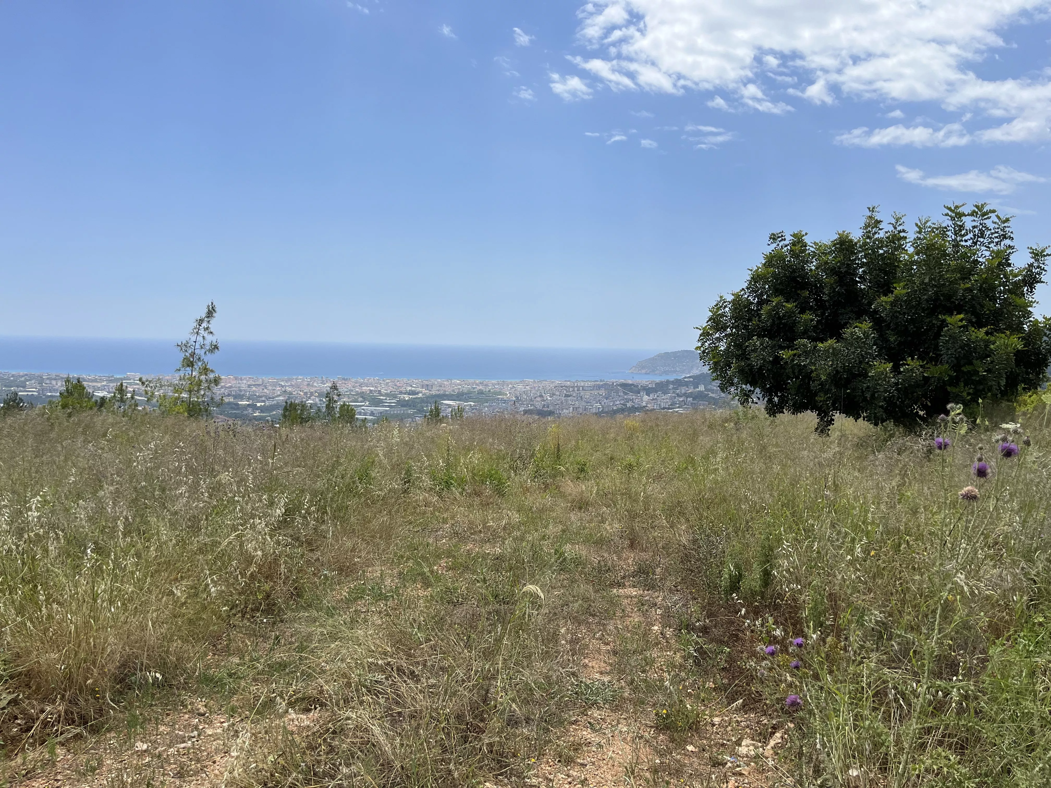 Alanya Kızılcaşehir Köyünde  Muhteşem Konumda Satılık Arazi