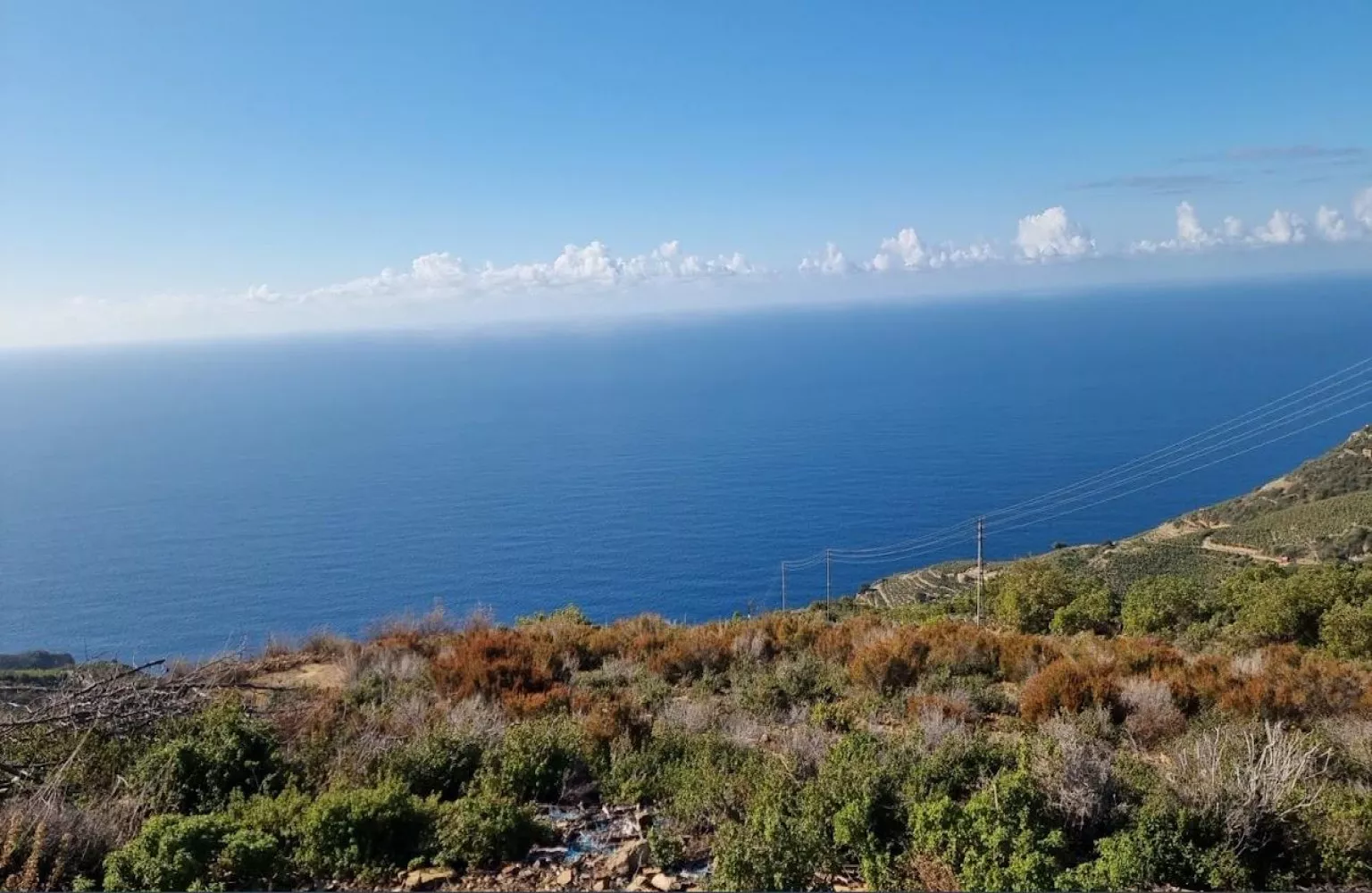 Wohngrundstück zum Verkauf in Gazipaşa mit Meerblick