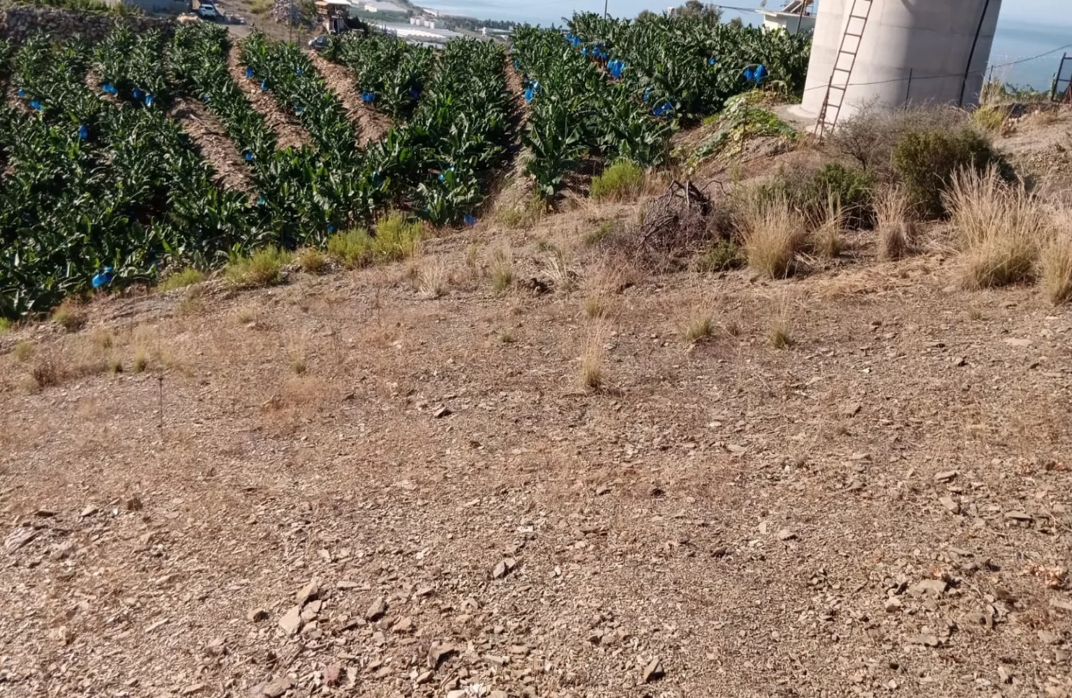 Alanya Yeşilöz de Satılık 600m²  Fırsat İmarlı Arsa