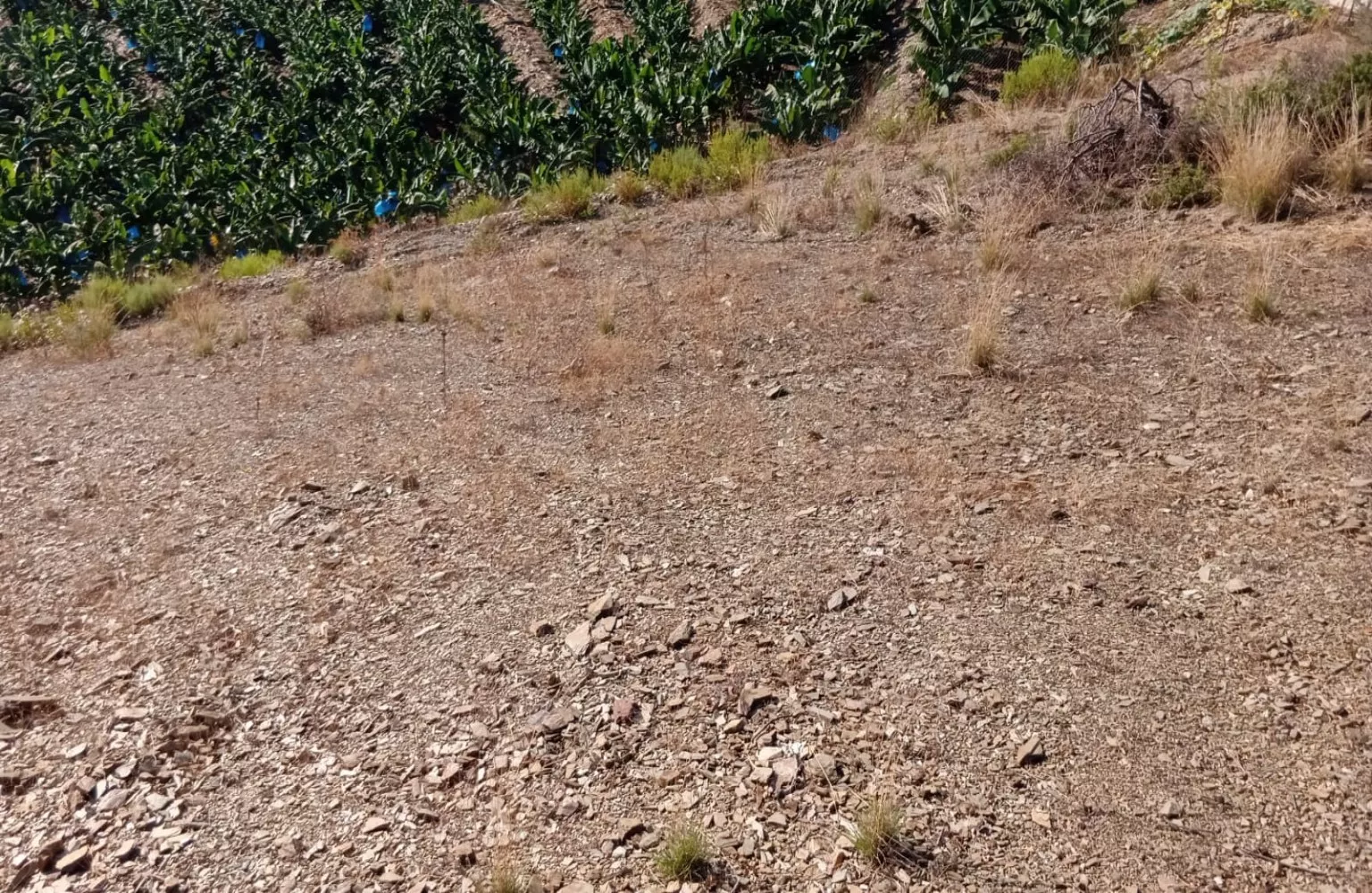 Alanya Yeşilöz de Satılık 600m²  Fırsat İmarlı Arsa